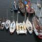brest2008 (4)