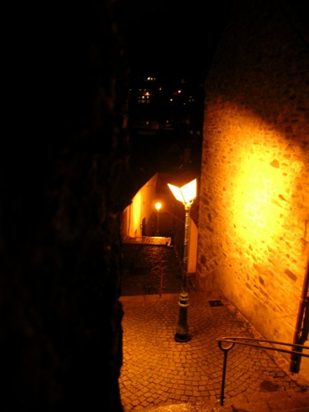 DSCN1826