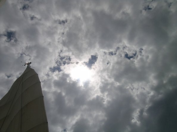 DSCN8713