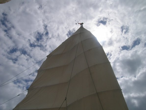 DSCN8729
