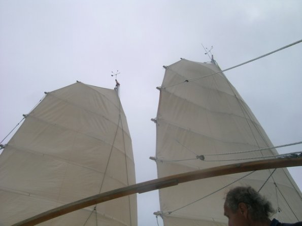 DSCN9185