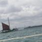 DSCN8385