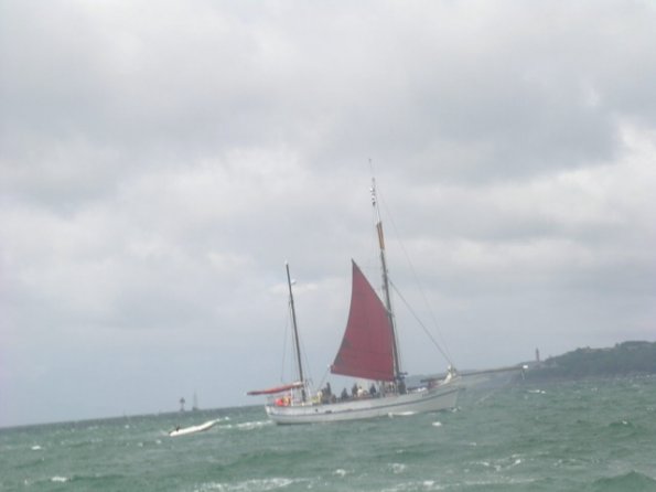 DSCN8461