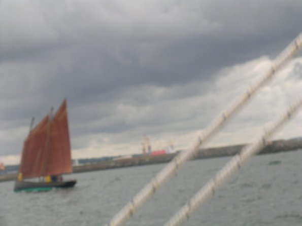DSCN8575