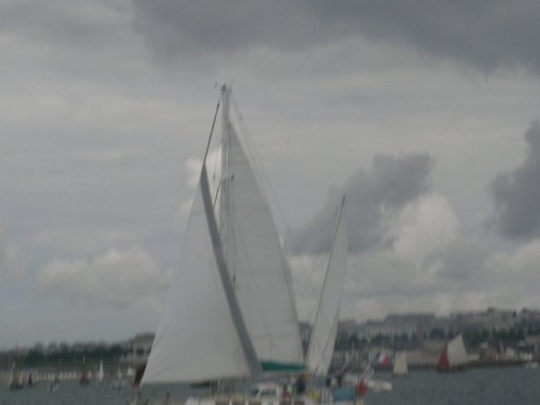 DSCN8651
