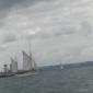 DSCN8705