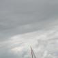 DSCN8761