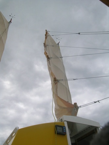 DSCN8601