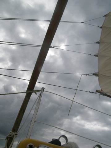 DSCN8605