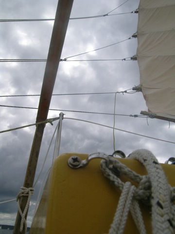 DSCN8606