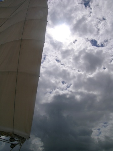 DSCN8726