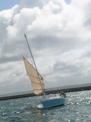 DSCN8332